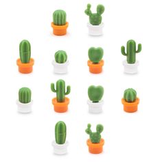 there are many small green cactuses in the potted planters on this white background