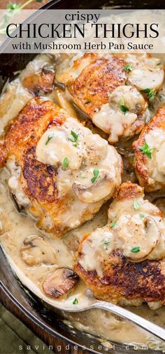 chicken thighs with mushroom herb pan sauce