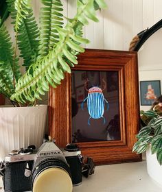 a wooden frame with a blue beetle on it next to a camera and potted plant