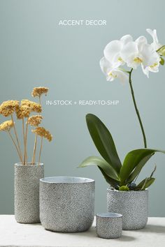 three vases with flowers in them sitting on a table