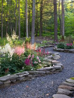 an outdoor garden with rocks and flowers in the foreground, surrounded by tall trees