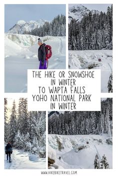 the hike or snowshoe in winter to wapita falls yoho national park in winter