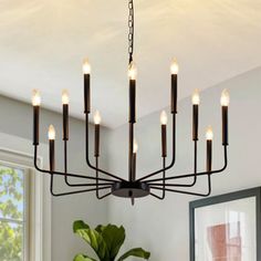 a chandelier hanging from the ceiling in a room with a potted plant