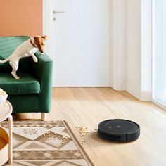 a dog standing on top of a couch next to a robotic vacuum cleaning the floor