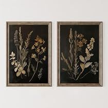 two framed floral paintings on a wall