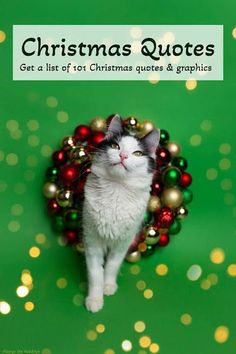 a white and black cat sitting in front of a christmas ornament on a green background