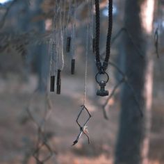 an old wind chime hanging from a tree in the woods