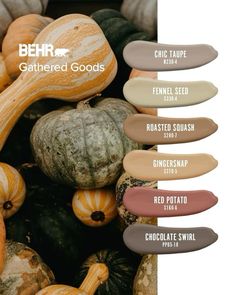 Behr paint, squash insiration. Boho Decor Ideas, House Color Palettes, Color Schemes Colour Palettes, Behr Paint, House Color Schemes, Paint Color Palettes, Color Chip, Pallet Painting, Color Palate