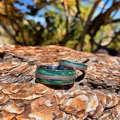 two rings sitting on top of a tree trunk