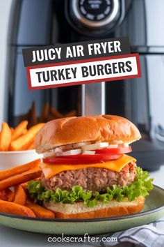 juicy air fryer turkey burgers on a plate with french fries