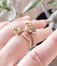 Both of our popular bird rings as a set!  Your will receive one of each size, the larger and the smaller.  You can wear them together or separate, or keep on and give the other as a gift!   Please note this listing is for these rings made in Solid Sterling Silver, not yellow metal.  The Antique Bronze that is pictured is available upon request. Intricately sculpted then cast in recycled metal, you will love the details on these little birds. Each of my pieces is digitally sculpted with much care.  These bird rings are completely sculpted, on all sides and the bottom, and is solid metal.  They are cast in the metal of your choice, and antiqued and polished by hand.  The metal is given a matte finish, which helps the intricate details stand out even more.  Each one is hand packed and send ou Silver Bird Ring, Bird Ring, Bird Rings, Silver Bird, Little Birds, Recycled Metal, Animal Jewelry, Solid Metal, Keep On