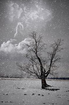 a lone tree stands in the middle of a snowy field under a cloudy sky with lightning