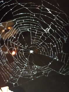 there is a spider web that has been broken in the middle of it's web