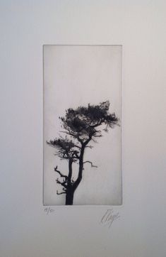 a black and white photo of a tree