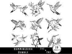 the hummingbird bundle is shown in black and white, with flowers on each side