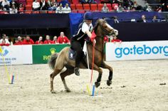 a woman riding on the back of a brown horse next to a blue pole in front of a crowd