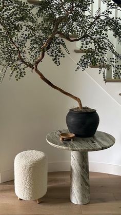 a potted plant sitting on top of a table next to a stool and tree