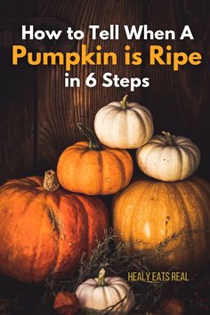 Different sized pumpkins stacked with text reading "how to tell when a pumpkin is ripe." When To Harvest Pumpkins, Growing Gourds, Grain Free Bread Recipe, Real Posts, Tandoori Recipes, Whole 30 Dessert, Roasted Vegetable Soup, Cinnamon Health Benefits, Creamy Pie