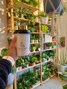 a person holding up a coffee cup in front of a shelf filled with potted plants