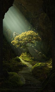 the light shines through an open doorway into a mossy area with stairs leading up to a tree