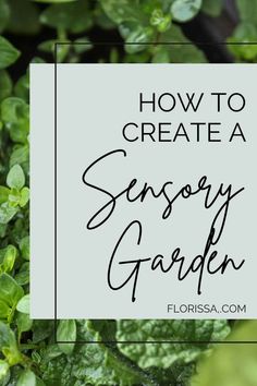 the words how to create a sensory garden on top of green plants with text overlay