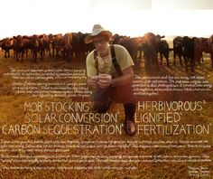 Lexicon of Sustainability Homestead Ideas, Carbon Sequestration, Cattle Farming