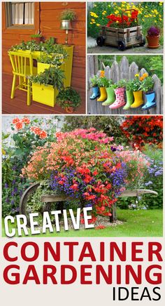 the cover of creative container gardening ideas, with pictures of colorful flowers and potted plants