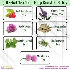 the seven herbs that help you to heal