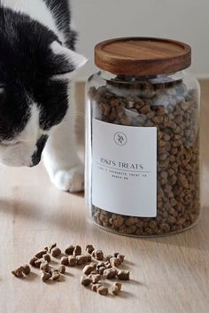 a black and white cat standing next to a glass jar filled with dry dog food