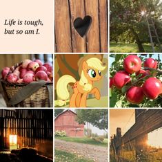 the collage has pictures of apple trees, apples and other things in it with words that say life is tough, but so am i