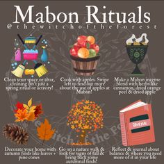 Fall Equinox Decorations, Fall Solstice Ritual, Witchy September, Mabon Herbs, Pagan Birthday, September Witchcraft, Mabon Traditions Pagan, Mabon Correspondences Herbs, Mabon Aesthetic