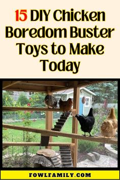 chickens and roosters in their coop with the title 15 diy chicken boredom buster toys to make today