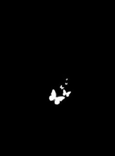 some white butterflies flying in the dark