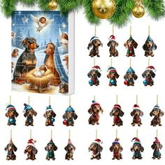 dachshund christmas ornament collection