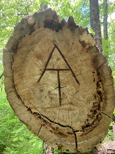 The Appalachian Trail symbol carved into a fallen tree Appalachian Mountains Aesthetic, Campground Resort, Park Ranger Aesthetic, Trail Aesthetic, Hiker Aesthetic, Appalachia Mountains