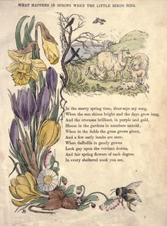 an old book with flowers and animals on it