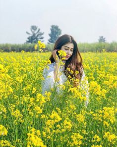 a woman sitting in a field of yellow flowers