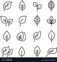 the different types of leaves drawn by hand on a white background, each with one line