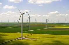 several wind turbines in a green field under a blue sky