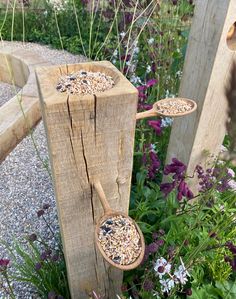 two wooden spoons filled with bird seed on top of a planter next to flowers