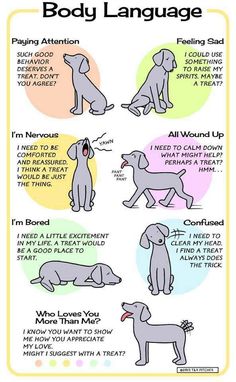 an image of dog language chart with instructions for dogs to learn how to use it