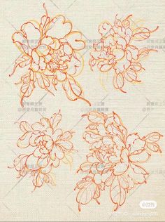 an image of flowers drawn on paper in orange and yellow colors with the words,