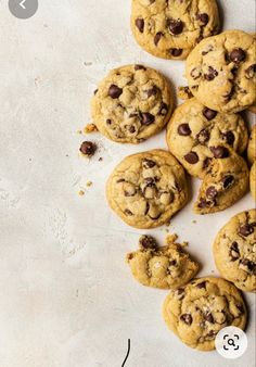 several chocolate chip cookies on a white surface