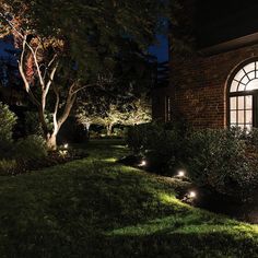 some lights that are on in the grass by a building and trees at night time