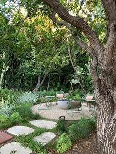 an outdoor seating area is surrounded by trees