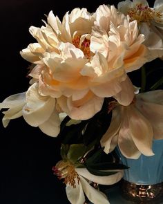 a vase filled with white flowers on top of a table