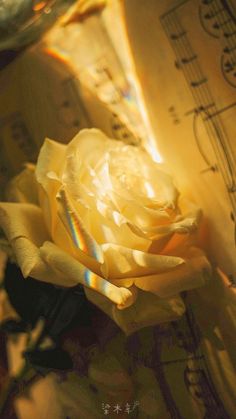 a yellow rose sitting on top of sheet music