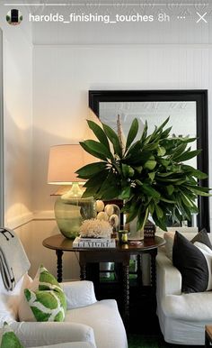 a living room filled with furniture and a large potted plant on top of a table