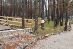 a wooden fence in the middle of a forest