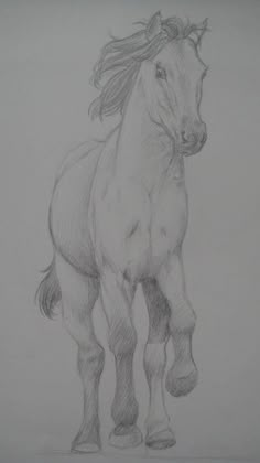 a pencil drawing of a horse running